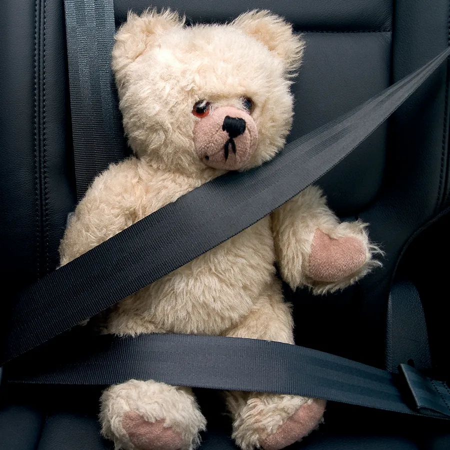 Bamse spændt fast i sikkerhedsselen på bagsædet af en bil